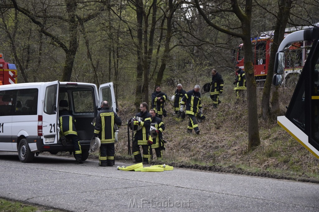 Waldbrand Wahner Heide Troisdorf Eisenweg P433.JPG - Miklos Laubert